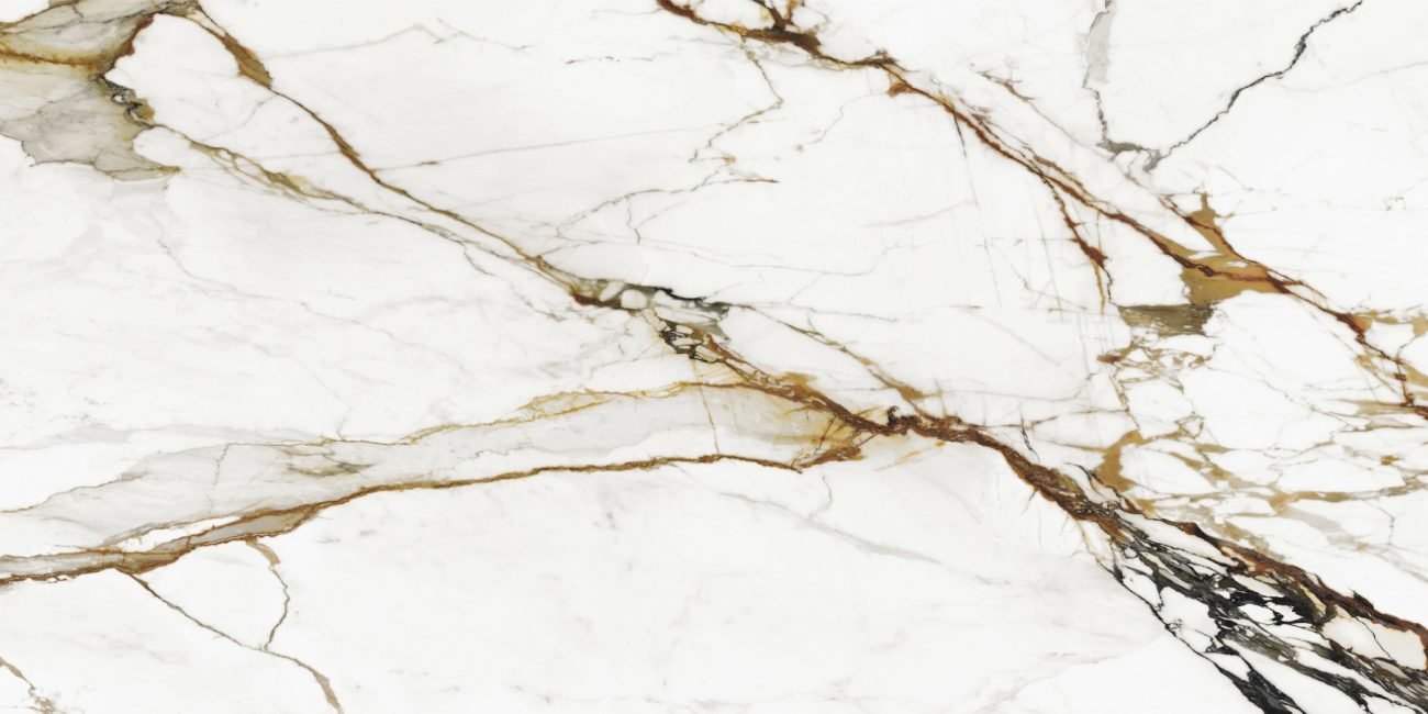 Xtone Paonazzo Biondo