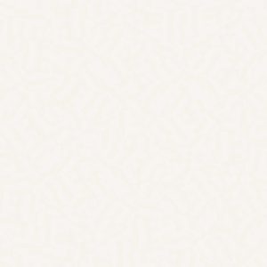 Silestone - Blanco Zeus