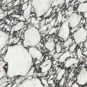 Xtone Calacatta Viola - Slab 2
